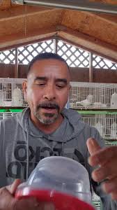 National Birmingham Roller Club