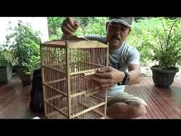 Assalamualaikum warahmatullahi wabarakatuh., hallo manteman video kali ini yaitu cara membuat sangkar burung untuk tekukur dan juga puter dengan bahan utama yaitu cover kipas dan kawat ram. Jebakan Burung Menggunakan Sangkar Burung Biasa Harian Youtube