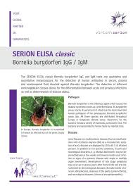 Borrelia burgdorferi is a bacterial species of the spirochete class of the genus borrelia. Serion Elisa Classic Borrelia Burgdorferi Igg Igm Virion Serion