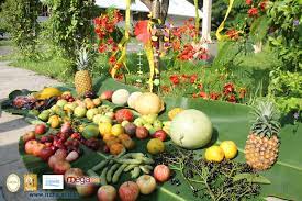 El día de hoy, 3 de mayo, albañiles a lo largo de todo méxico se darán una pausa en sus labores para colocar en la parte más alta de la construcción, una el rito a la santa cruz es otra de las muchas tradiciones originadas en la iglesia católica y que fueron adoptadas por culturas indígenas para darles. Celebracion Del Dia De La Cruz 3 De Mayo De 2018 Itcha