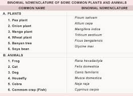 Binomial Nomenclature Tutorvista Com Names Scientific Systems Biology