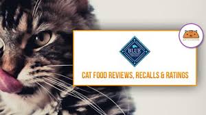 Blue Wilderness Cat Kitten Food Coupons Review Recalls 2019