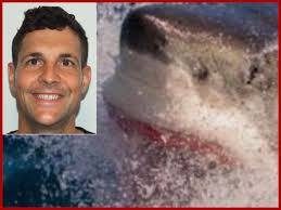 Why was the great white shark video removed?