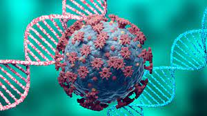 On 14 june 2021, the world health organization (who) named it lambda variant and designated it as a variant of interest. Lambda Variant All You Need To Know About The Latest Covid 19 Variant Articles