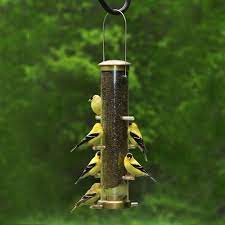 When water inevitably gets inside, it is hard for it to evaporate, which creates moisture inside the feeder. Nifty Niger Feedertm Cole S Wild Bird Products