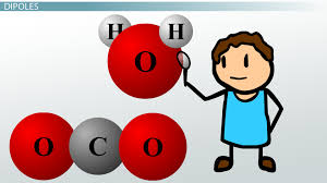 Activity codes consist of a development activity level (alphabetical) and usage activity level (numerical). Dipoles Dipole Moments Molecule Polarity Video Lesson Transcript Study Com