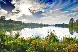 At minimum, you should observe a distance of at least two metres (six feet). 12 Top Rated Tourist Attractions In Norwich Planetware