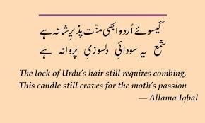 The case for Urdu as Pakistan's official language - Herald