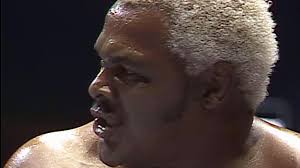 Don Muraco vs. Butch Reed: December 12, 1987