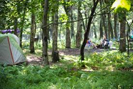Shenandoah provides quite a few campgrounds on its extensive grounds so that you are close to many of the hikes and overlooks that characterize the park. The Best Shenandoah National Park Camping 2021 With Prices Tripadvisor