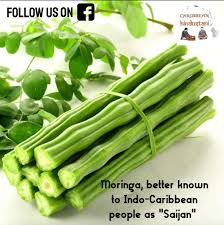 Image result for Moringa