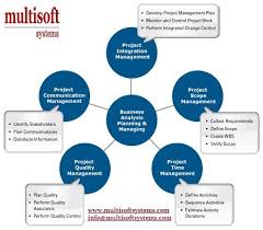 Http Www Multisoftsystems Com Course Iiba Certified Business Analysis Professional Cbap 107 Business Analysis Business Analyst Pinterest For Business