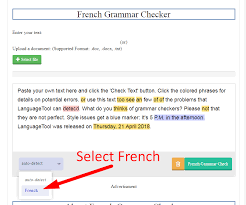 French Grammar Checker Best Grammar Checker For French Seomagnifier