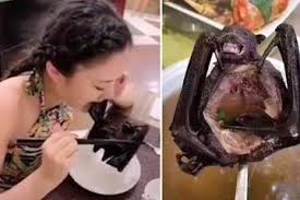 Gratis untuk komersial tidak perlu kredit bebas hak cipta. Ingat Foto Viral Ini Kasihan Nasib Si Wanita Yang Sedang Makan Kelelawar Tersebut Sekarang Ini Semua Halaman Grid Health