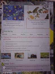 Pin By Rajeev Sinha On Bzh Animals Live In Water Amphibians Mammals