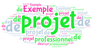 #3 le projet professionnel et l'entretien de personnalité des écoles de commerce. Exemple De Projet Professionnel Etudes En France
