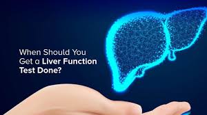 Image result for Liver Function Test