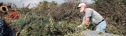 Homestead disposal offers local roll off dumpster rentals near me for home & construction in plymouth, ma & kingston, halifax, wareham, carver, middleborough and duxbury. Yard Waste Site City Of Plymouth Mn