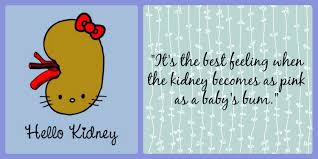 15 sayings from around the world. 26 Inspirational Quotes For Kidney Patients Audi Quote