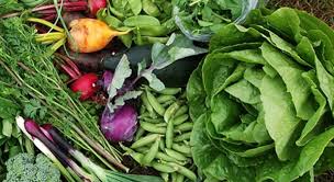 Les Champs Marins Vente De Fruits Et Legumes Saveurs Regionales Aux Iles De La Madeleine