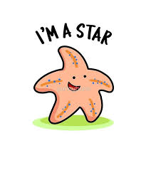I M A Star Animal Pun Sticker By Punnybone Cute Puns Funny Illustration Animal Puns