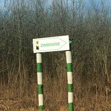 Aici gasiti informatii utile despre medici veterinari din bucuresti, farmacii ghidul online cabinete veterinare bucuresti. Bucuresti Bucsani I L Caragiale Filipestii De Targ Ghighiu Ploiesti Bucuresti Printrepicaturi Ro