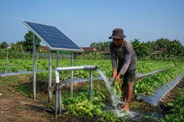 Pompa Terbaik di Indonesia untuk Irigasi Modern yang Hemat