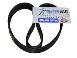 Use our part lists, interactive diagrams, accessories and expert repair advice to make your repairs easy. 283170 Proform Sr30 Bike Drive Belt Homefitnessparts