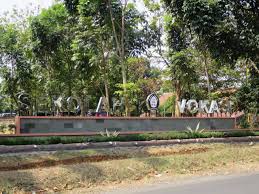 Jika melihat dari peminat jurusan soshum undip yang mendaftar melalui snmptn tahun 2020, maka didapatkan beberapa kategori. Daya Tampung Vokasi Undip 2021 2022 Mamikos Info