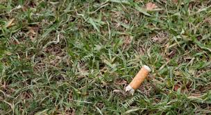 Les jours de vents comme aujourd'hui, jeter son mégot par la fenêtre est tout simplement criminel. Ce Petit Megot De Rien Du Tout Zero Dechet En Route Vers Un Nouveau Mode De Vie