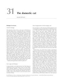 But what size cat have you got? Pdf The Domestic Cat