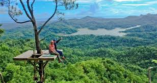 Alamanda jogja flower garden tempat wisata di jogja yang lagi ngehits saat ini. 10 Tempat Wisata Di Jogja Terbaru Yang Paling Menarik Taman Nasional Wisata Solo Pemandangan