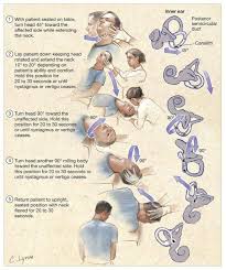 jama on physical therapy exercises physical therapy