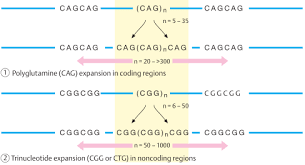 Trinucleotide Repeat Expansion Magazine Science