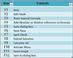 Excel 2007 Shortcut Keys For Function Pr Excel Tech Blog Learning Microsoft Computer Shortcuts Excel
