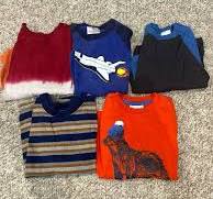 Lot of Hanna Andersson long sleeve shirts boys 4T