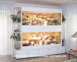 inspiration terrarium habitat pogona enclos pour reptiles cage pogona