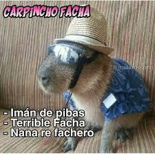 Maybe you would like to learn more about one of these? Javier El Carpincho Javierr45782605 Twitter