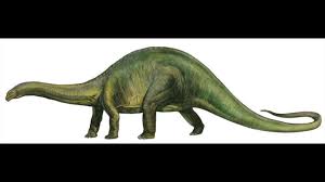 Brontosaurus the dinosaur when first presented to the public brontosaurus was a brontosaurus is what is known as a member of the diplodocidae due to its superficial. Brontosaurus Sound Effects Youtube