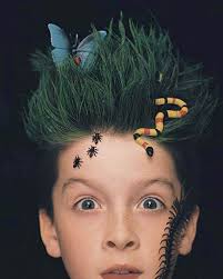 These crazy hair day ideas will be the talk of the school. Top 50 Crazy Hairstyles Ideas For Kids