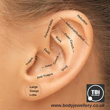 Learn in details the most. Ear Piercings And Body Piercing Jewellery Tdi Body Jewellery Blog