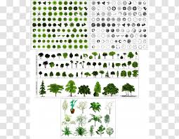 We did not find results for: Landscape Architecture Architectural Plan Drawing Design Transparent Png