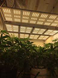 Maybe you would like to learn more about one of these? What Grow Light For A 4x4 Tent Grasscity Forums The 1 Marijuana Community Online