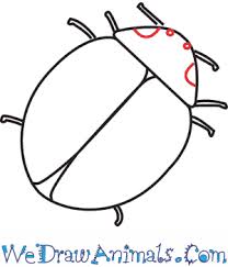 Here is the completed finish of this lady bug drawing. How To Draw A Ladybug