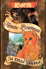 koty voiteli stan dikim wiki koty voiteli i pushin amino