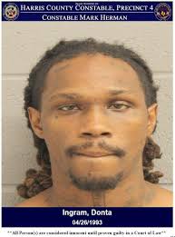 Suspected Shoplifting Trio Faces Felony Charges