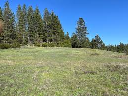 13550 Anna Ridge Ct, Nevada City, CA 95959