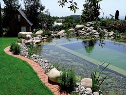 73 Backyard And Garden Pond Designs And Ideas Prirodnye Bassejny Estestvennye Bassejny Prudy