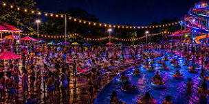 THE NEW WAVE PARTY