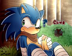 Rule34 - If it exists, there is porn of it  spice5400, sonic the hedgehog,  tails  728977